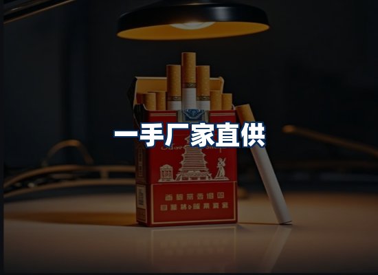 专业团队办公环境